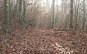 Blick vom Inneren der Anlage auf den früheren Zugang auf der Westseite