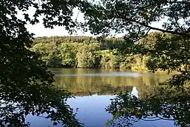 Beverteich