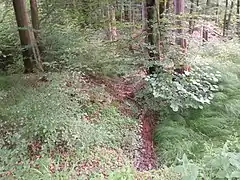 Hühnerbrunngraben