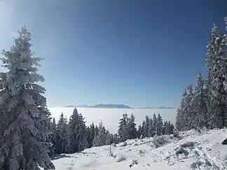 Blick vom Hühnerkogel auf die Koralpe (Golica)
