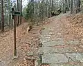Kanonenweg als Teil des Forststeigs am Quirl