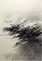 Landschaft, 1984