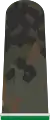 Jäger OA (Feldanzug Heeresuniformträger Gebirgsjägertruppe)