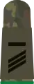 Aufschiebeschlaufe für Hauptgefreiter UA (Heeresuniformträger Fallschirmjäger­truppe)