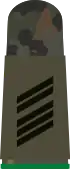 Aufschiebeschlaufe Feldanzug Heeresuniformträger Jägertruppe