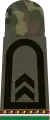 Oberfeldwebel Reserveoffizier­anwärter (Heeres­uniformträger Panzergrenadier­truppe)
