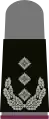 Schwarzes Grund­gewebe mit hell­grau­en Emblemen für Heeresuniform­träger (hier: Oberst ABC-Abwehrtruppe, grauer Pullover)