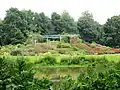 Rosengarten Mitte Juli