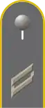 Jacke Dienstanzug Heeresuniformträger Heeresaufklärungstruppe