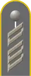 Dienstgradabzeichen eines Oberstabsgefreiten der Fernmeldetruppe auf Schulterklappe der Jacke des Dienstanzuges für Heeresuniformträger