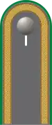 Dienstgradabzeichen auf der Schulterklappe der Jacke des Dienstanzuges für Heeresuniformträger der Panzergrenadiertruppe.