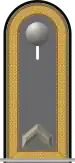 Dienstgradabzeichen auf der Schulterklappe der Jacke des Dienstanzuges für Heeresuniformträger der Pioniertruppe.