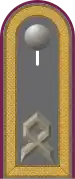 Jacke Dienstanzug Heeresuniformträger ABC-Abwehrtruppe
