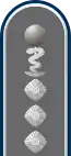 Dienstgradabzeichen auf der Schulterklappe der Jacke des Dienstanzuges für Heeresuniformträger der Sanitätstruppe