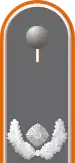 Jacke Dienstanzug Heeresuniformträger Feldjägertruppe