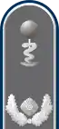 Dienstgradabzeichen auf der Schulterklappe der Jacke des Dienstanzuges für Heeresuniformträger der Sanitätstruppe