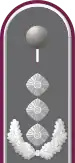 Dienstgradabzeichen auf der Schulterklappe der Jacke des Dienstanzuges für Heeresuniformträger der ABC-Abwehrtruppe