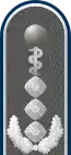 Dienstgradabzeichen auf der Schulterklappe der Jacke des Dienstanzuges für Heeresuniformträger der Sanitätstruppe (Humanmedizin).