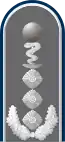 Dienstgradabzeichen auf der Schulterklappe der Jacke des Dienstanzuges für Heeresuniformträger der Sanitätstruppe.