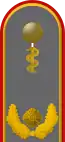 Dienstgradabzeichen auf der Schulterklappe der Jacke des Dienstanzuges für Heeresuniformträger der Sanitätstruppe (Humanmedizin).