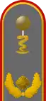 Dienstgradabzeichen auf der Schulterklappe der Jacke des Dienstanzuges für Heeresuniformträger.