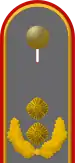 Dienstgradabzeichen auf der Schulterklappe der Jacke des Dienstanzuges für Heeresuniformträger