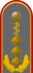 Dienstgradabzeichen eines Generaloberstabsarztes (Approbation für Humanmedizin) auf der Schulterklappe der Jacke des Dienstanzuges für Heeresuniformträger