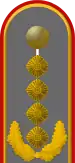 Schulterklappe eines Generals der Bundeswehr (Dienstgradabzeichen)
