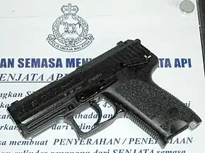 HK P10