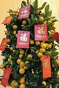 Als Baumschmuck zum Neujahr – Hongbao