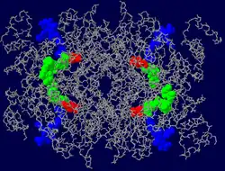 HMG-CoA-Reduktase