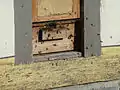 Bienen am Mittelalterlichen Weinberghaus