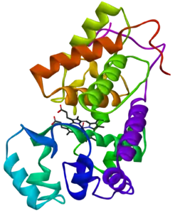 Meerrettichperoxidase CA1 (Armoracia rusticana)