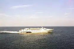 Silvia Ana L