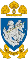 Wappen von Borsodszentgyörgy