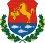 Wappen von Somogyaszaló