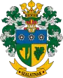 Wappen von Szalatnak