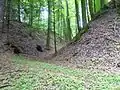 Burgstall Hausruck