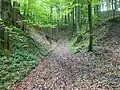 Forstweg zwischen den beiden Hügeln