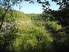 Blick in den ehem. Steinbruch Grube 7