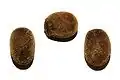 Eier