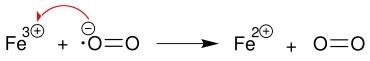 1. Schritt der Haber-Weiss-Reaktion