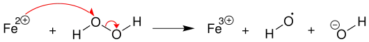 2. Schritt der Haber-Weiss-Reaktion