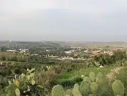Chadid (2010)