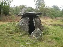 Dolmen von Haga auf der Insel Orust.