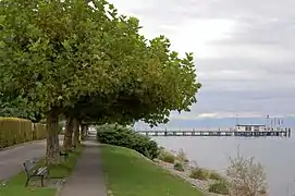 Meersburger Straße (Hagnau am Bodensee) mit renaturierter Uferpromenade