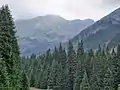 Ornak Alm