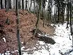 Der Wall der Vorburg nach Osten