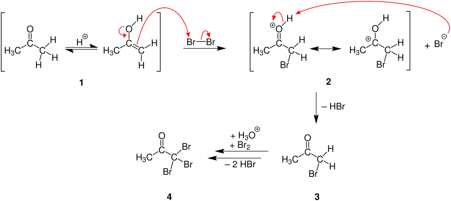 Mechanismus der Halogenierung von Carbonylverbindungen.