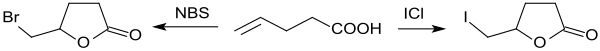 Halolactonisierung von 4-Pentensäure